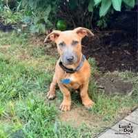 Ethel - Photo 2