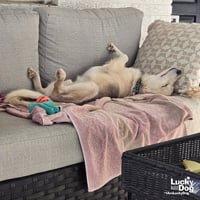 Frederick - Photo 4
