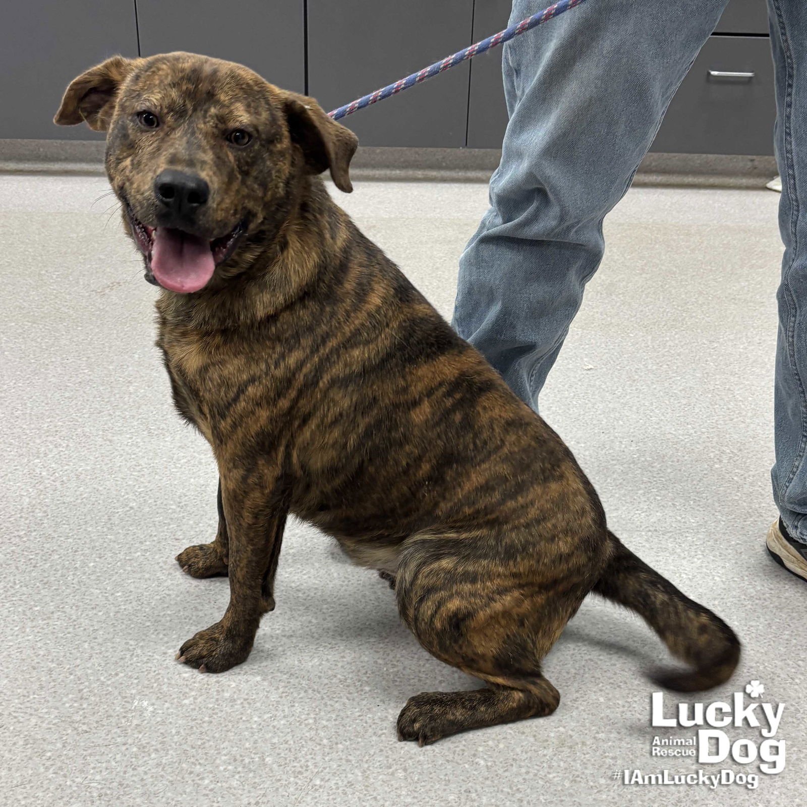 Mr Wiggles - Photo 3