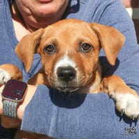 Asher - Photo 2