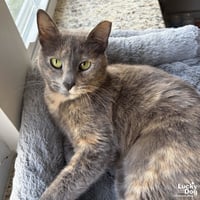 Penny - Photo 2