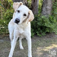 Bella - Photo 2