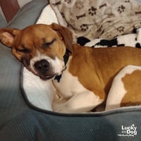 Marcie - Photo 3