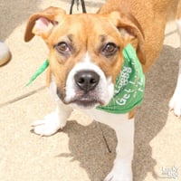 Marcie - Photo 2
