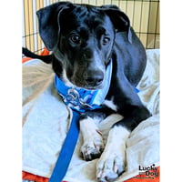 Annie - Photo 3