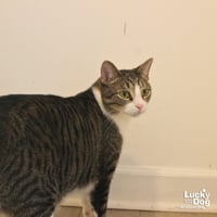 George - Photo 3