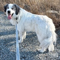 Big Boy - Photo 2