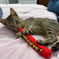 Max - Photo 4