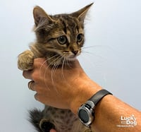Eddie - Photo 2