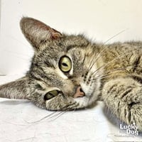 Carrie Ann - Photo 4