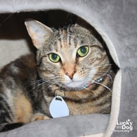 Genny - Photo 2