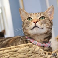 Genny - Photo 1