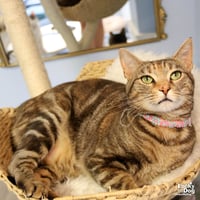 Genny - Photo 3