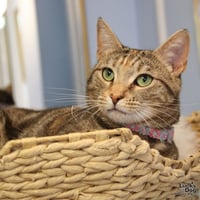 Genny - Photo 4
