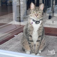 Lucille - Photo 1