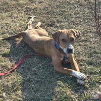 Zena - Photo 4