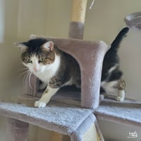 Spike - Photo 4