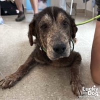 Edward - Photo 2