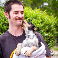 Balto - Photo 3