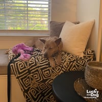 Missy - Photo 3