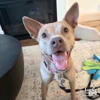 Missy - Photo 2