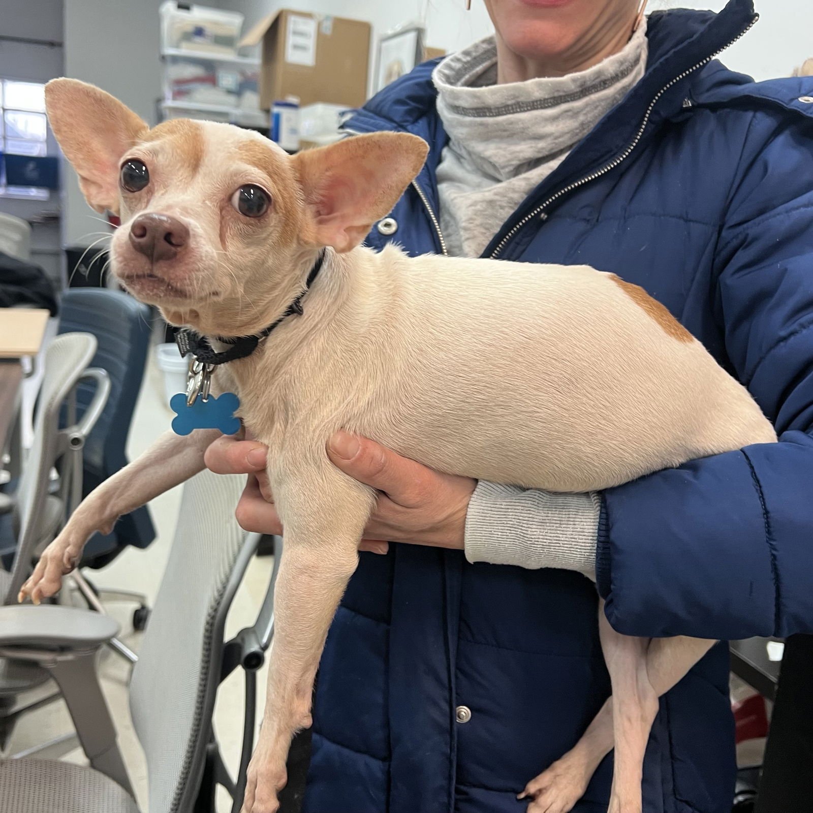 Mrs. Camilla - Photo 3