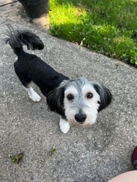 Sylvia - Photo 2