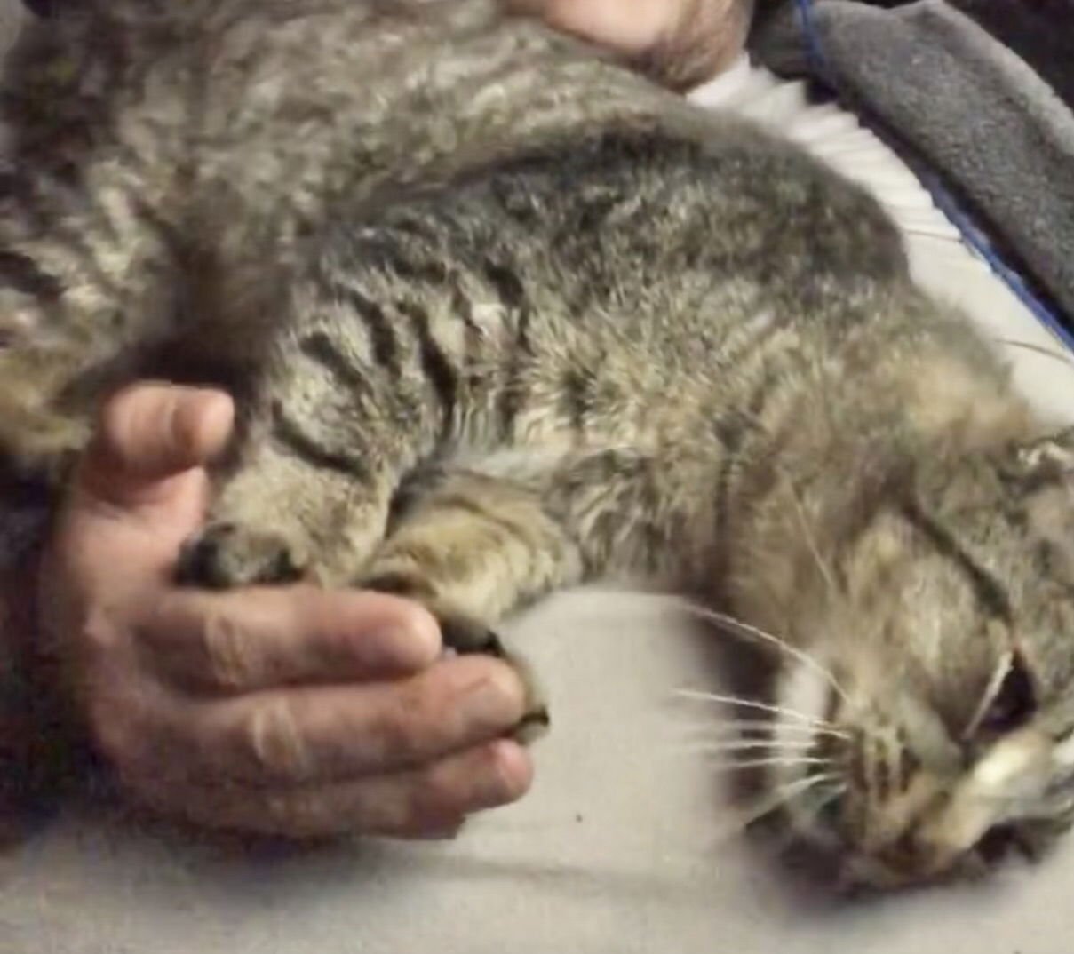 Floopa Napa - Photo 3