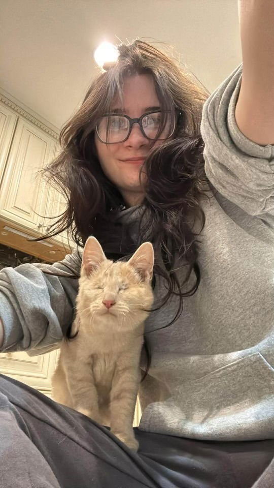 ELEANOR ( BC) - Tabby available for adoption