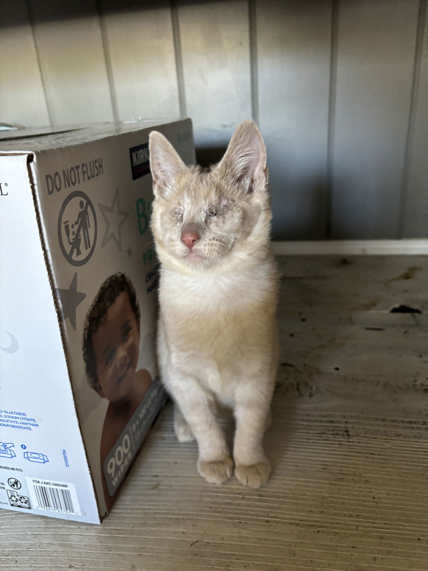 Eleanor ( BC) - Photo 3