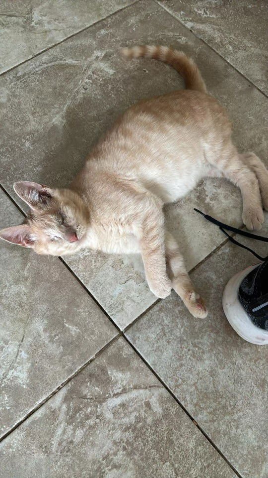 Eleanor ( BC) - Photo 4