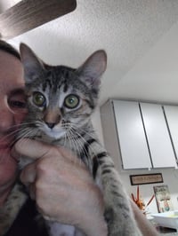 Lily ( Kat) - Photo 2
