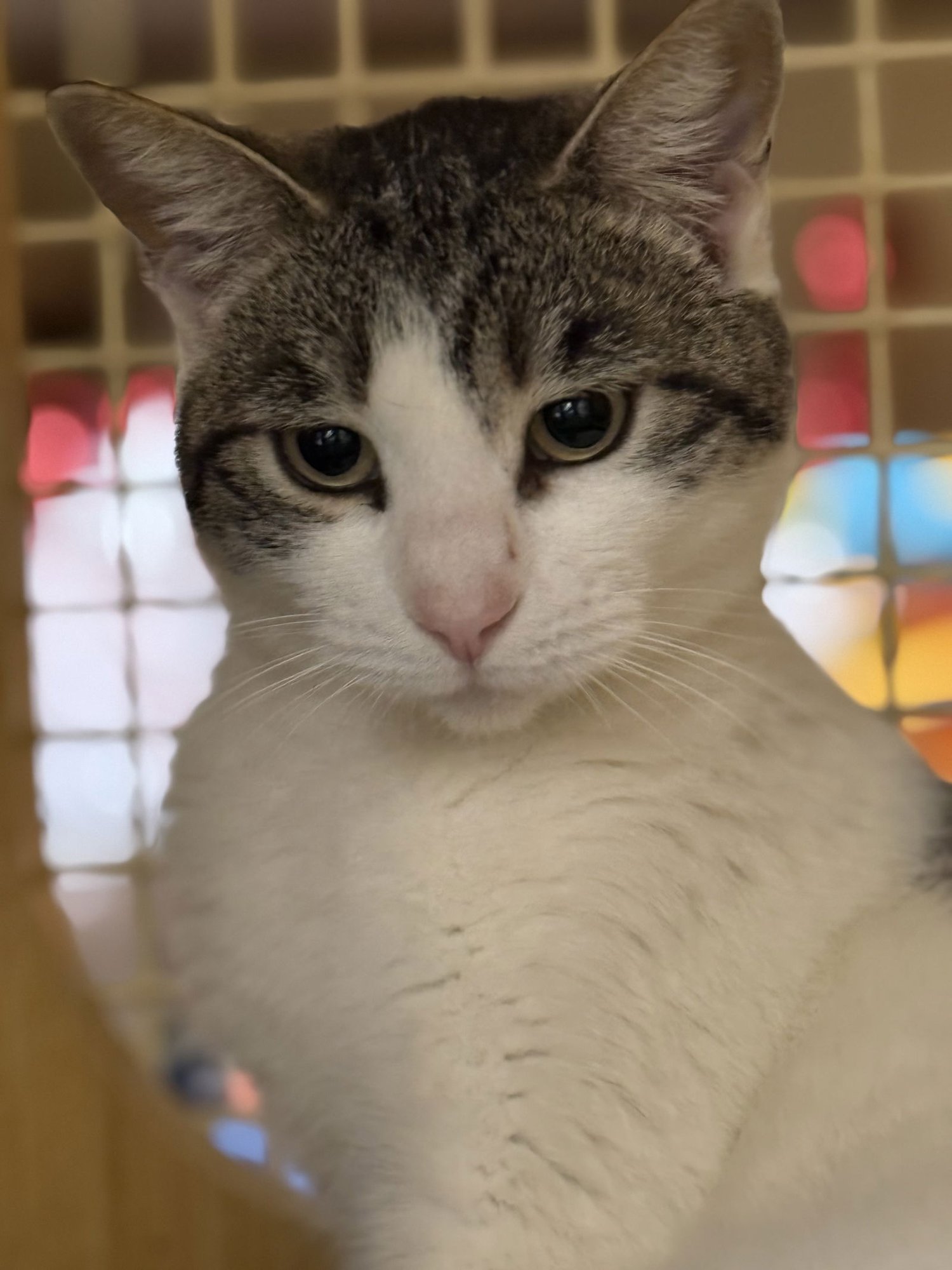 Maybelline Napa - Photo 3