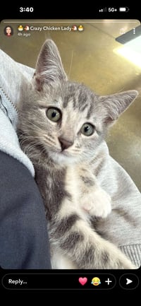 Ellie ( Nicole) - Photo 2