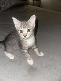 Ellie ( Nicole) - Photo 3