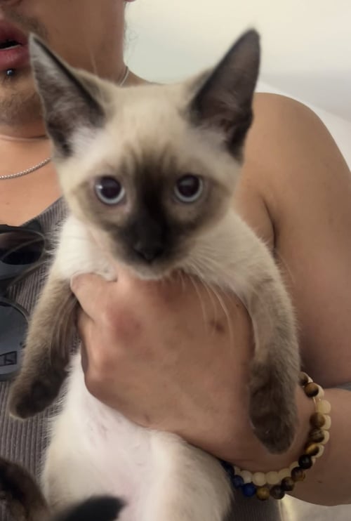 LYLA