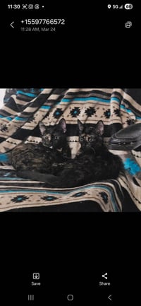 Dot ( Alice) - Photo 3