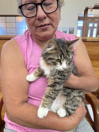 Bella ( Amalia ) - Photo 4