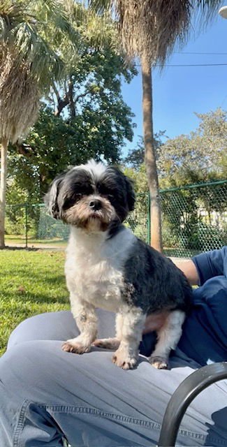 Dominic James - Photo 2