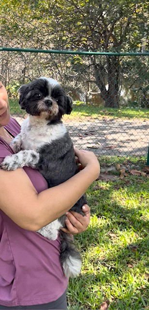 Dominic James - Photo 4