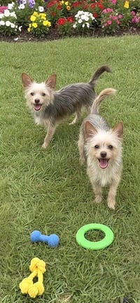 Patrick & Sean - Photo 4