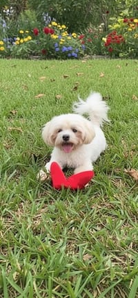 Casper - Photo 4