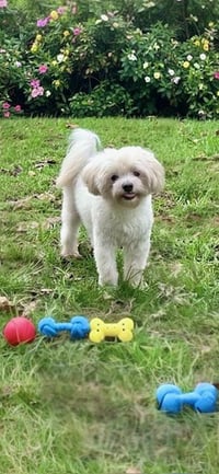 Casper - Photo 3