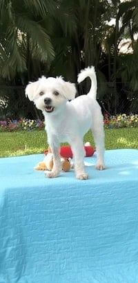 Casper - Photo 1