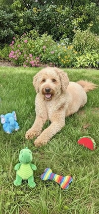 August - Photo 2
