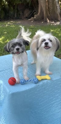 Cassie & Cindy - Photo 4