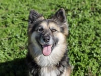 CHULA - Photo 1