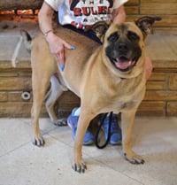 Reggie - Photo 3