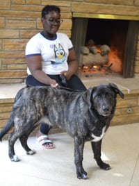 Smokey - Photo 4
