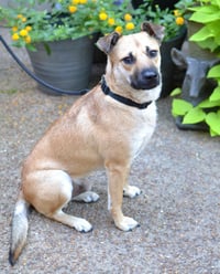 Woody - Photo 3